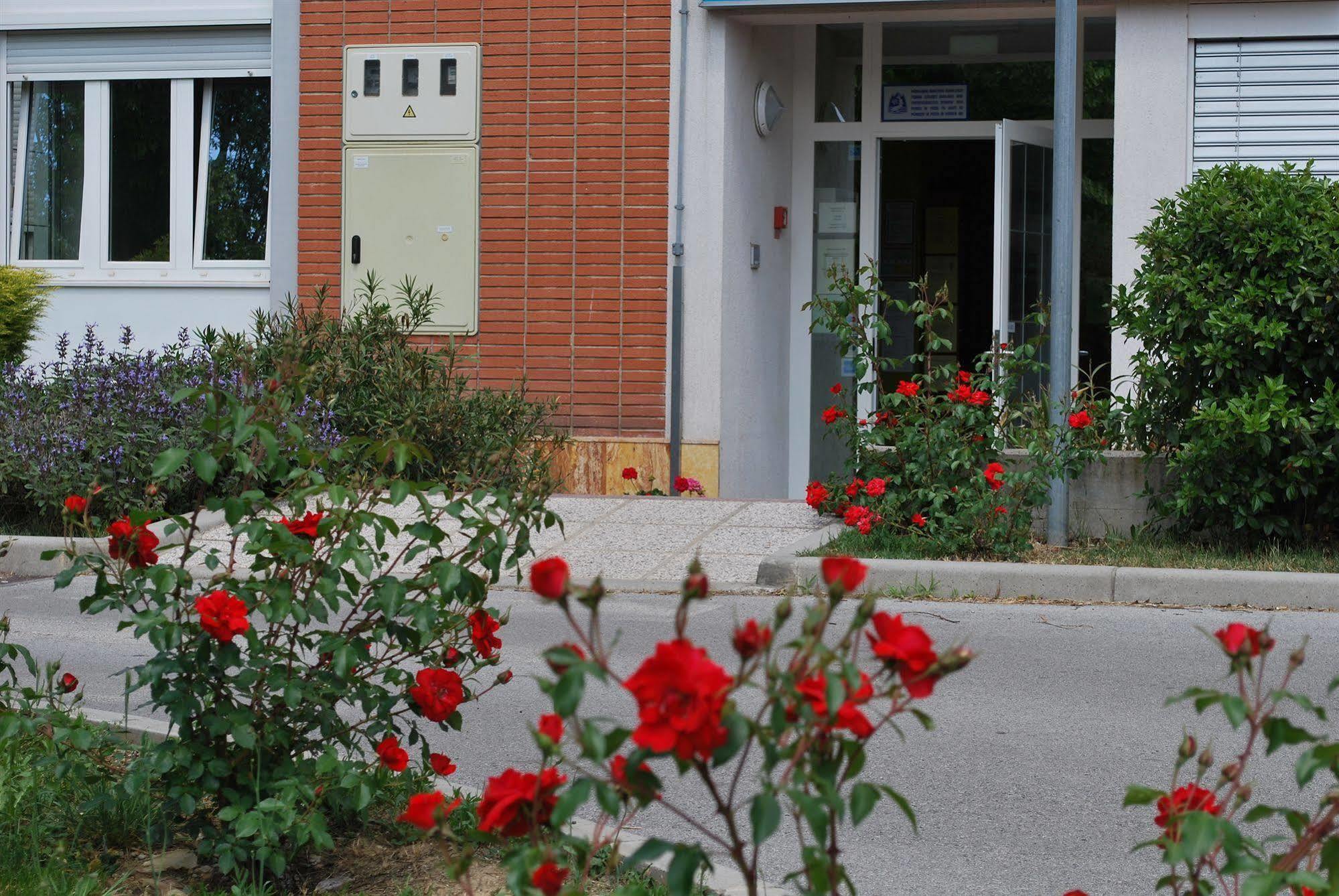 נובה גוריקה Bed And Breakfast Kogoj מראה חיצוני תמונה
