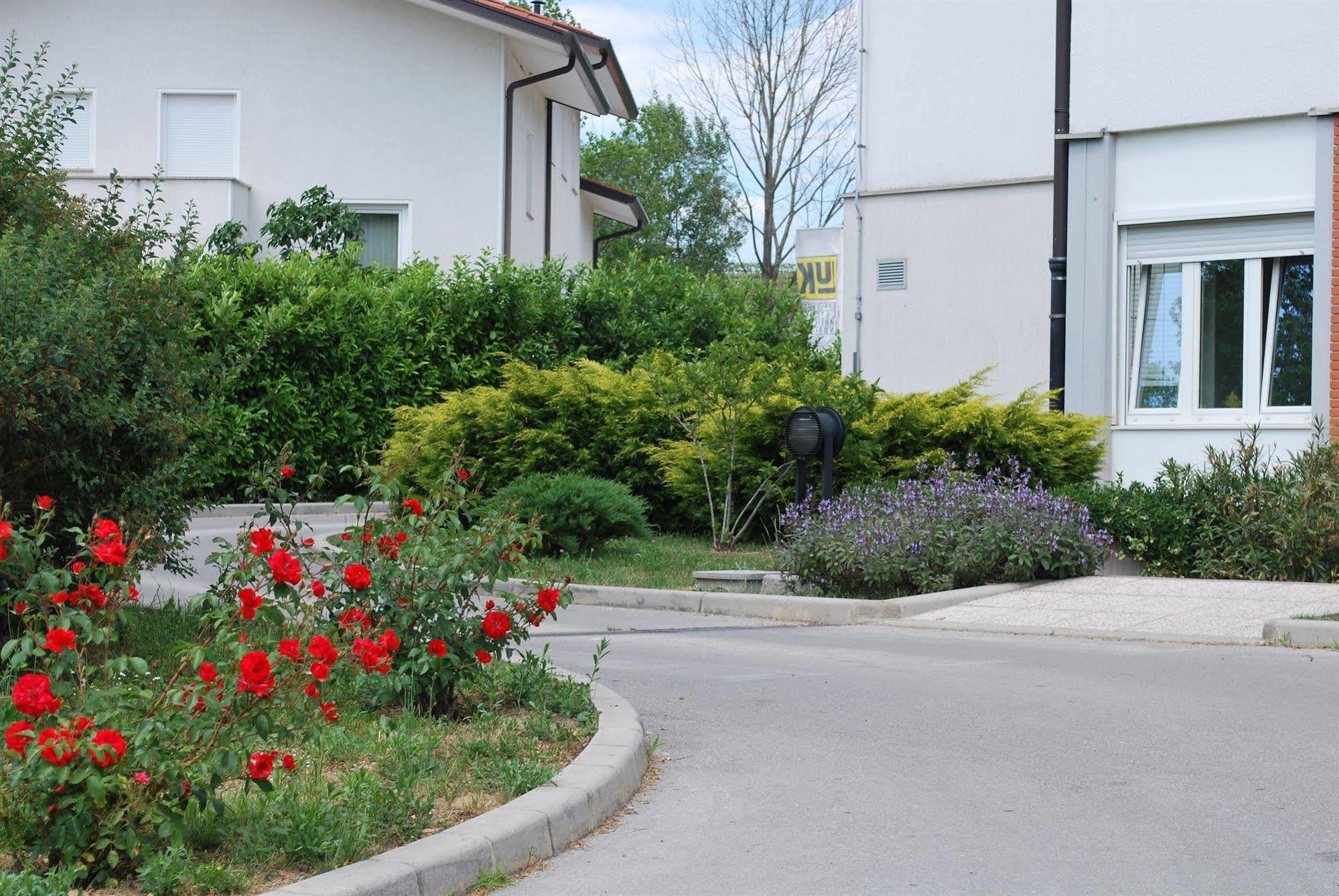 נובה גוריקה Bed And Breakfast Kogoj מראה חיצוני תמונה